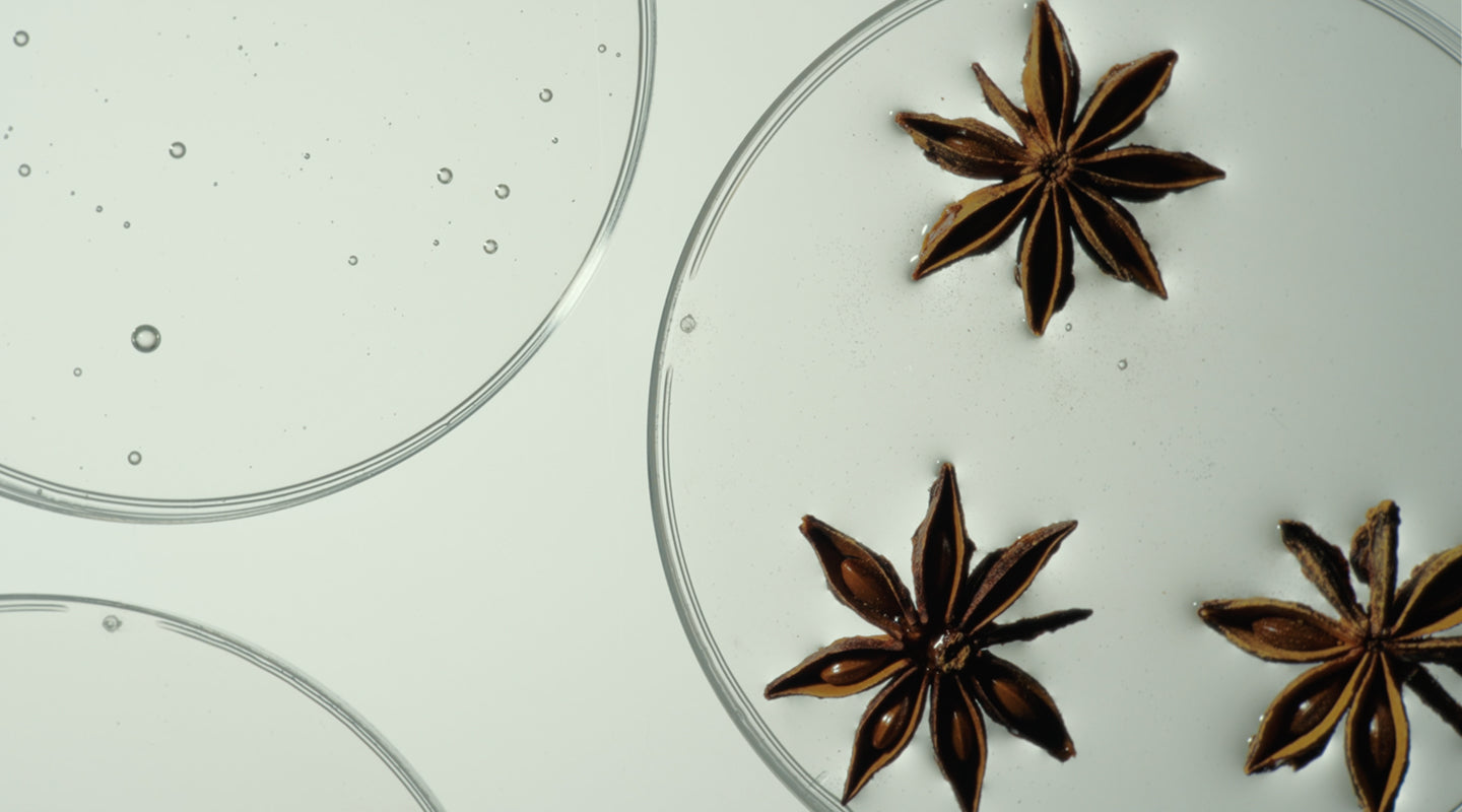 Everything You Need To Know About Shikimic Acid