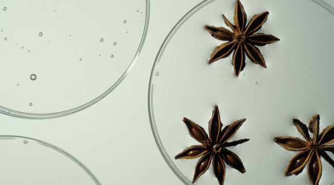 Everything You Need To Know About Shikimic Acid