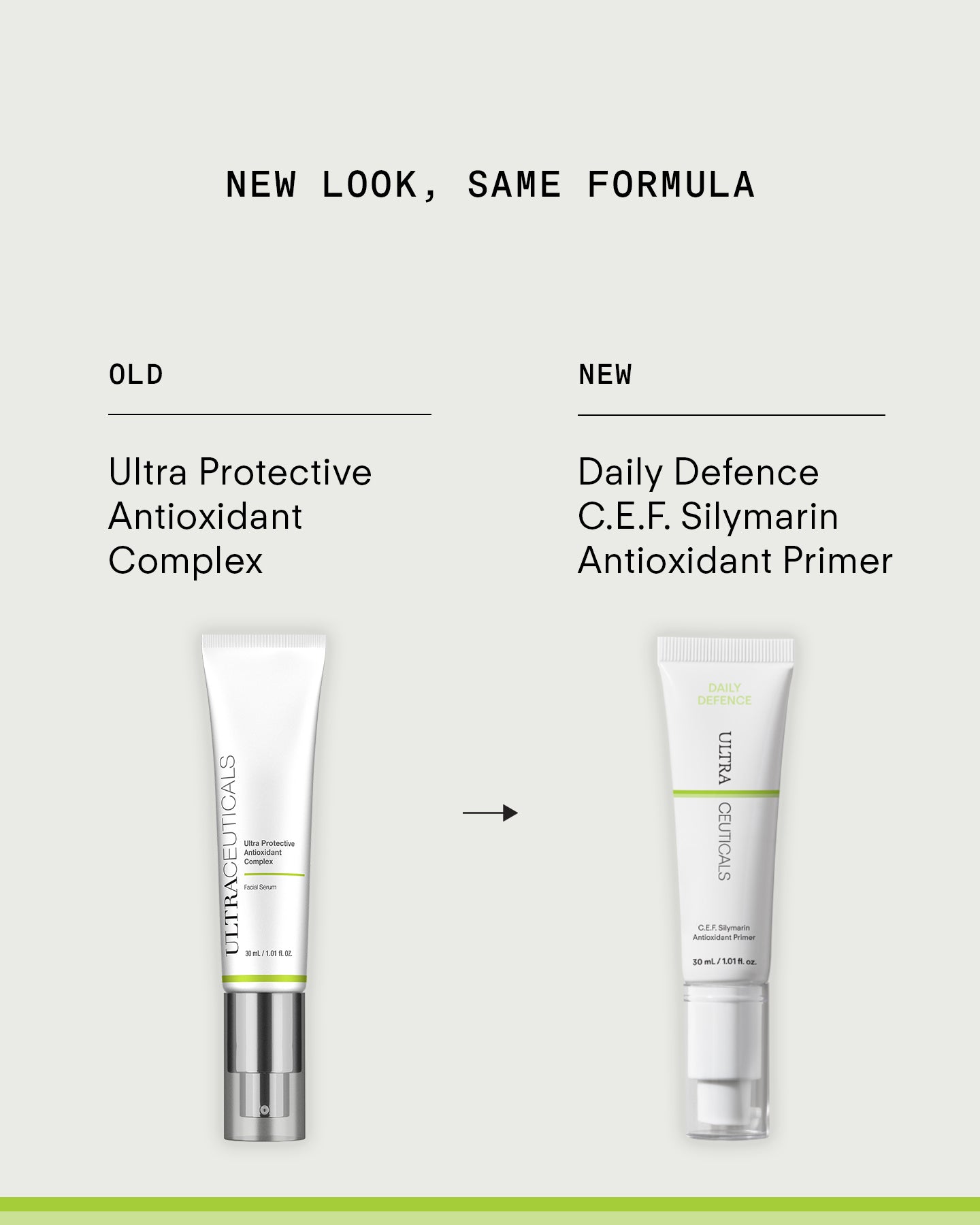 Daily Defence C.E.F. Silymarin Antioxidant Primer