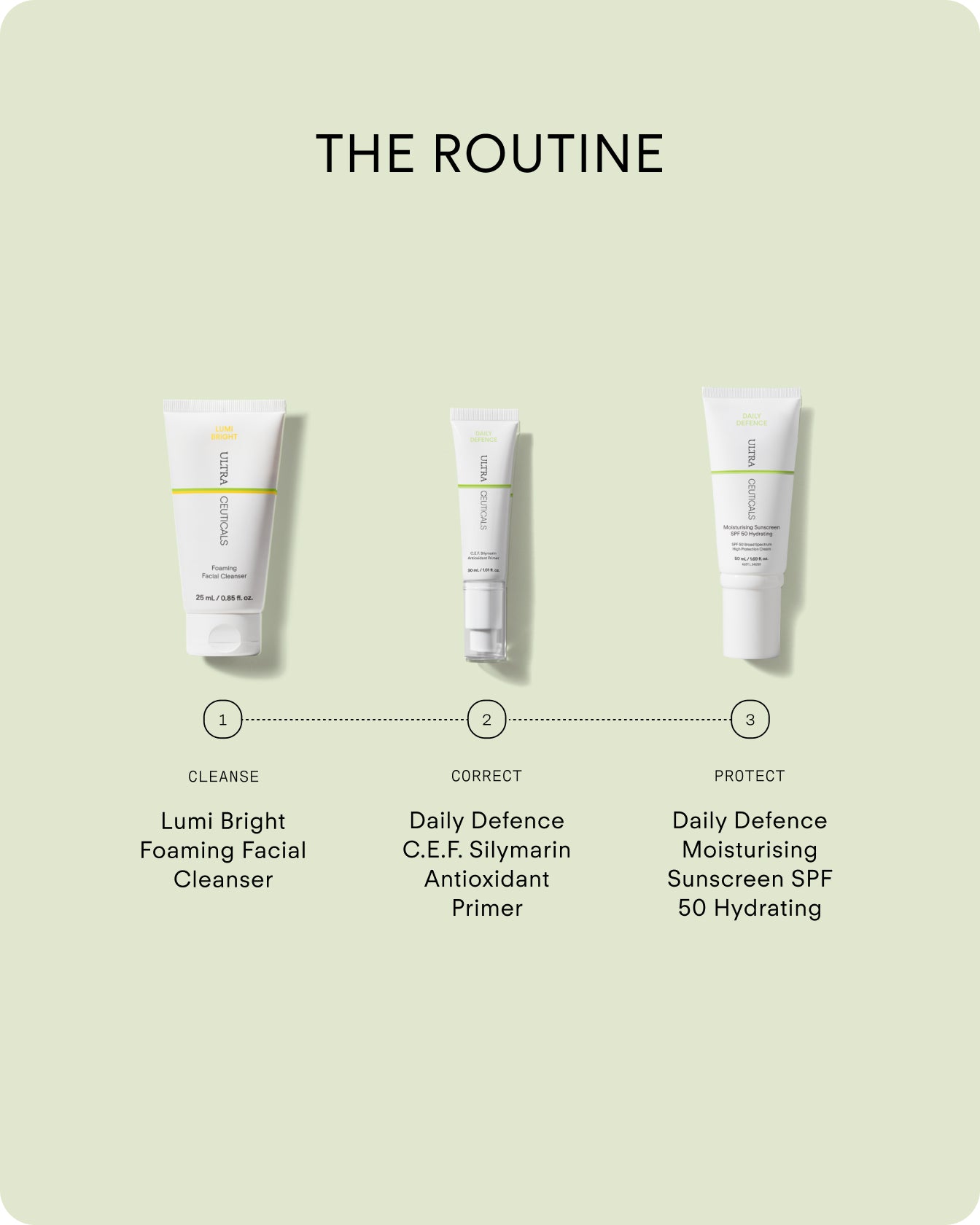 Daily Defence C.E.F. Silymarin Antioxidant Primer